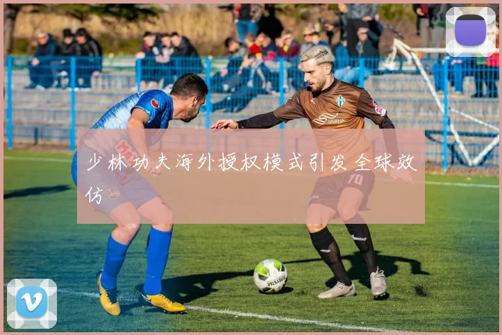 少林功夫海外授权模式引发全球效仿