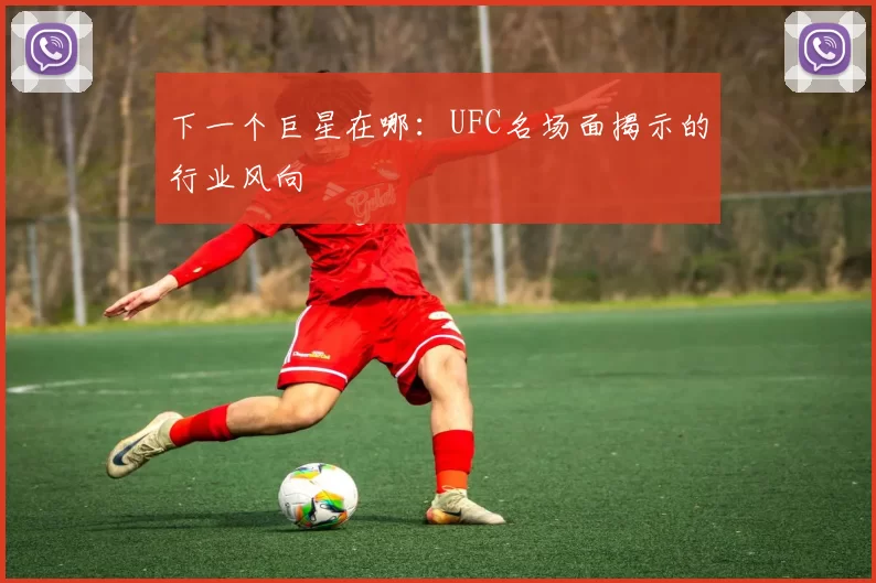 下一个巨星在哪：UFC名场面揭示的行业风向