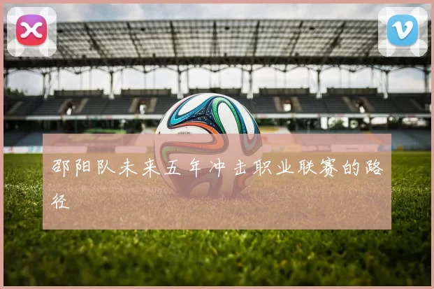 邵阳队未来五年冲击职业联赛的路径